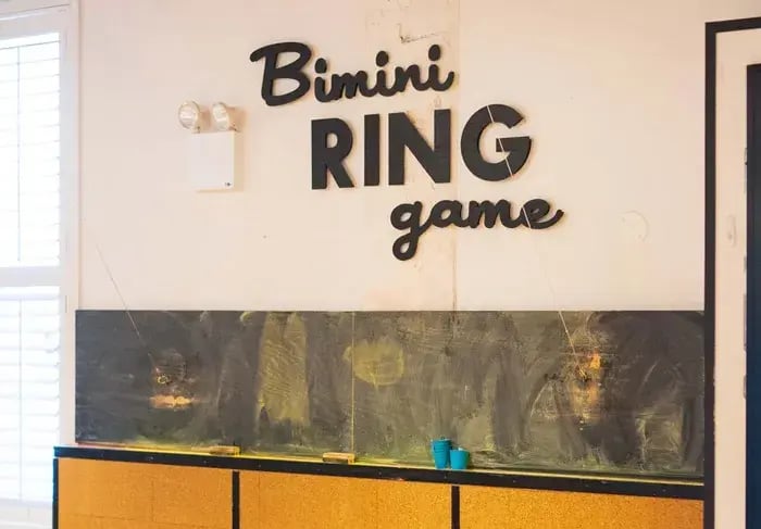 ring+game